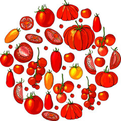 How to grow tomatoes. Isolated fresh vegetables, different sorts. Food made of tomatoes