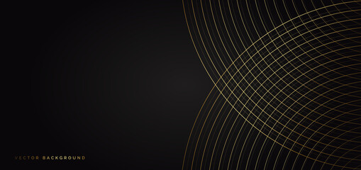 Abstract luxury curves lines overlapping on black background with copy space for text.