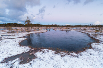 Swamp lake with islands in sunny winter day in sunrise