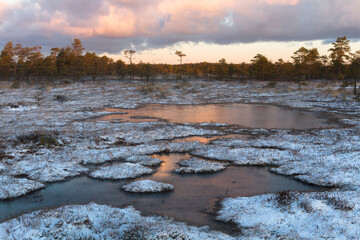 Swamp lake with islands in sunny winter day in sunrise