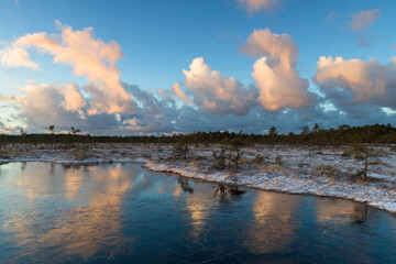 Swamp lake with islands in sunny winter day in sunrise