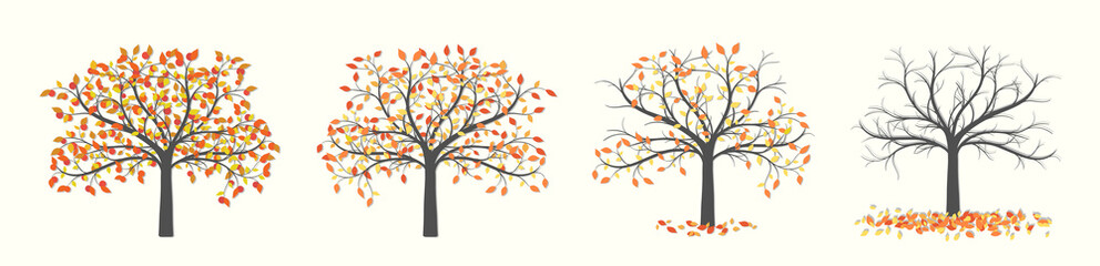 Autumn tree with red leaves and fruits in four versions, with leaves and fallen leaves