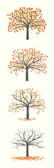 Obraz premium Autumn tree with red leaves and fruits in four versions, with leaves and fallen leaves on a light background