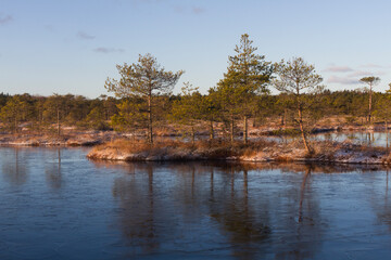 Fototapeta na wymiar Swamp lake with islands in sunny winter day in sunrise