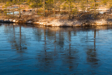 Swamp lake with islands in sunny winter day in sunrise