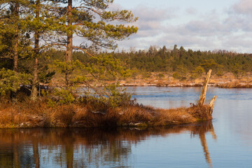 Swamp lake with islands in sunny winter day in sunrise