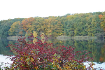 Herbststimmung am Schlachtensee in Berlin