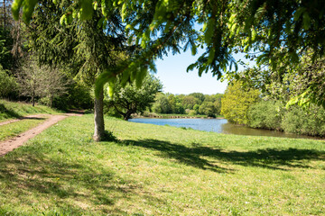 Obraz premium Rosenteich im Naturpark Südharz