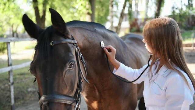 Female vet examining horse by using stethoscope outdoors at the farm at daytime.