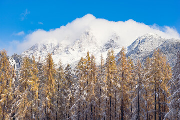 Austria autumn and winter chistmas landscape with forest and mountain with clouds and blue sky and yellow leaves on tree