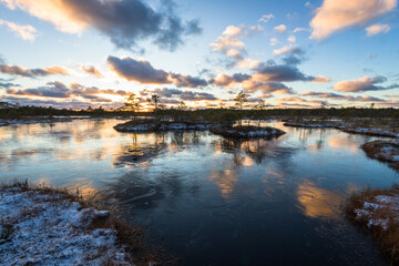 Swamp lake with islands in sunny winter day in sunrise
