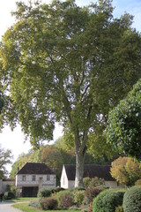 Abbaye cistercienne de Fontenay Bourgogne