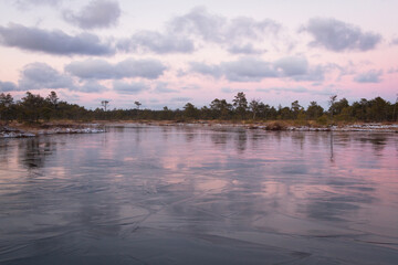 Fototapeta premium Swamp lake with islands in sunny winter day in sunrise