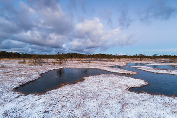 Swamp lake with islands in sunny winter day in sunrise