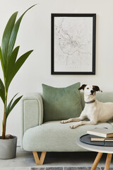 Beautiful dog lying on the green sofa at stylish loft interior with green sofa, design furniture,...