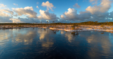 Swamp lake with islands in sunny winter day in sunrise