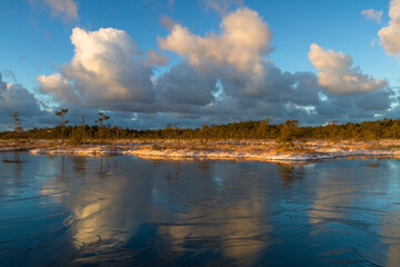 Swamp lake with islands in sunny winter day in sunrise
