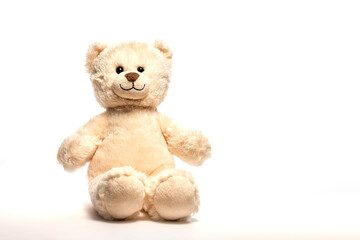 Toy bear isolated on white background, soft fluffy toy