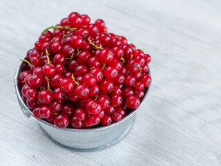 A metal basin filled with red currants