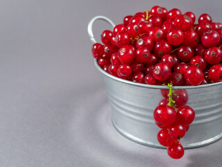 A metal basin filled with red currants