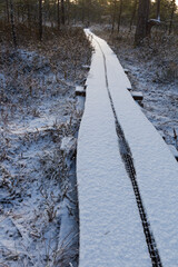 Obraz premium frozen wooden walking trail in the bog lake