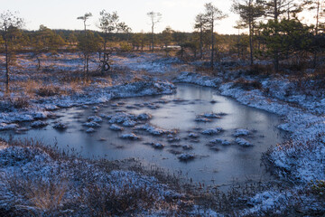 Swamp lake with islands in sunny winter day in sunrise