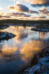 Swamp lake with islands in sunny winter day in sunrise
