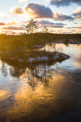 Swamp lake with islands in sunny winter day in sunrise