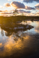 Swamp lake with islands in sunny winter day in sunrise