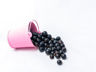 A pink bucket on a white background from which black currants are poured