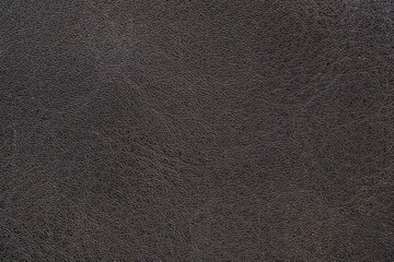 Brown natural leather, close-up, isolated background for design