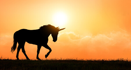 Fototapeta na wymiar Unicorn silhouette at sunset