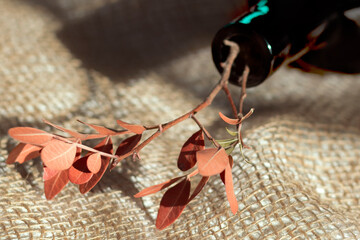Rustic fall autumn mood concept background : dark glass bottle, jute cloth, dry branch, red leaves,...
