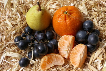Naklejka na ściany i meble Decorative mixture of autumn fruits on hay with blue grapes, pear, and pieces of tangerine