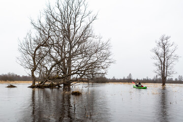 Flooded soomaa bog in spring, fifth season