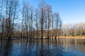Flooded soomaa bog in spring, fifth season