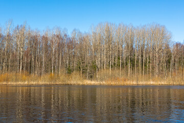 Fototapeta premium Flooded soomaa bog in spring, fifth season