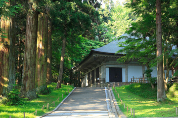 奥の細道　中尊寺金色堂