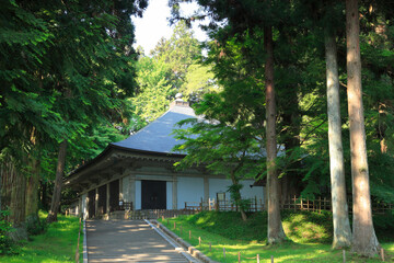 奥の細道　中尊寺金色堂