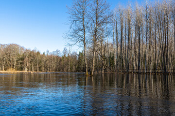 Flooded soomaa bog in spring, fifth season