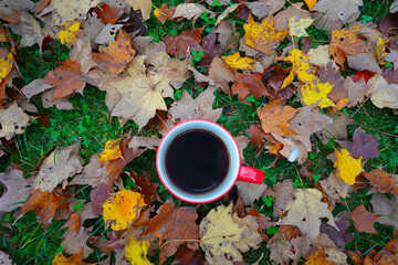 Cup of coffee on the ground with fall leaves
