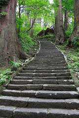 羽黒山の参道石段