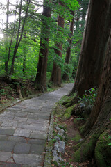 羽黒山の参道石段