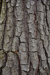 texture