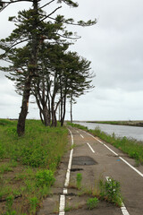 閖上地区の津波被災地