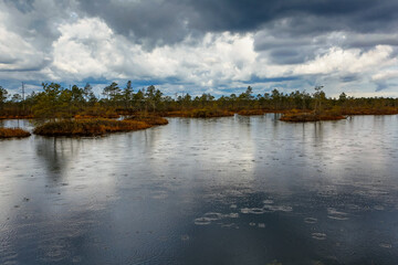 Obraz premium Swamp lake with islands in misty morning