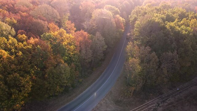 Aerial view of road with school bus in beautiful autumn forest at sunset.