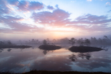 Naklejka na ściany i meble Swamp lake with islands in misty morning