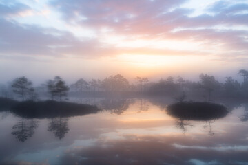 Swamp lake with islands in misty morning