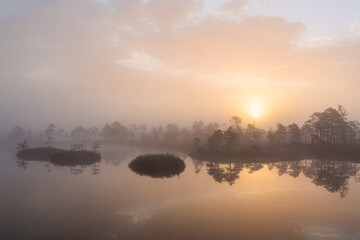 Swamp lake with islands in misty morning